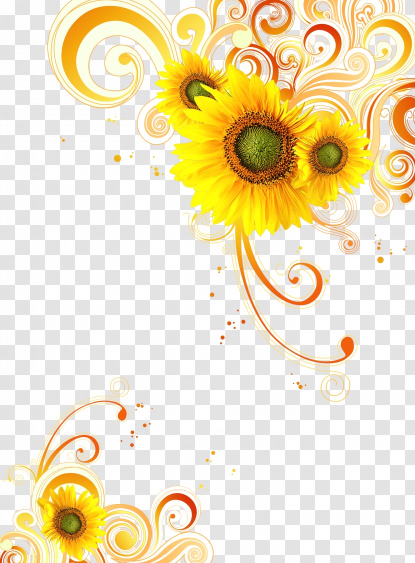 Common Sunflower Yellow - Abstract Plant Transparent PNG