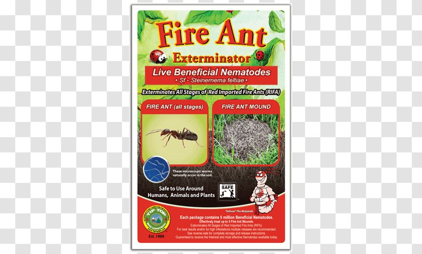 Fire Ant Insect Pest Control - Flea Transparent PNG