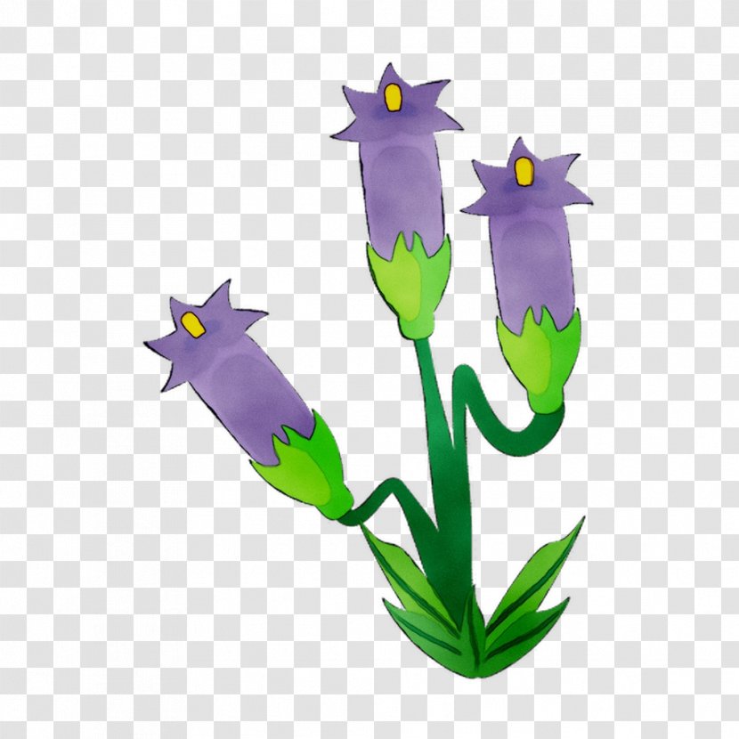 Flowering Plant Stem Purple Plants - Bellflower Family - Crocus Transparent PNG