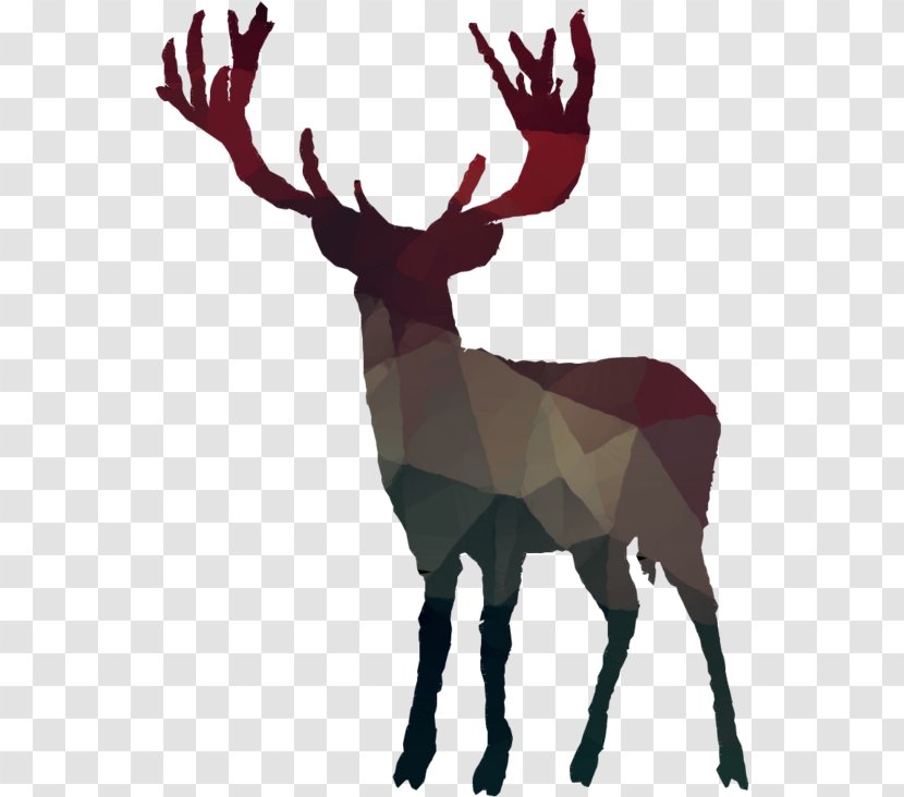 Reindeer - Moose Horn Transparent PNG
