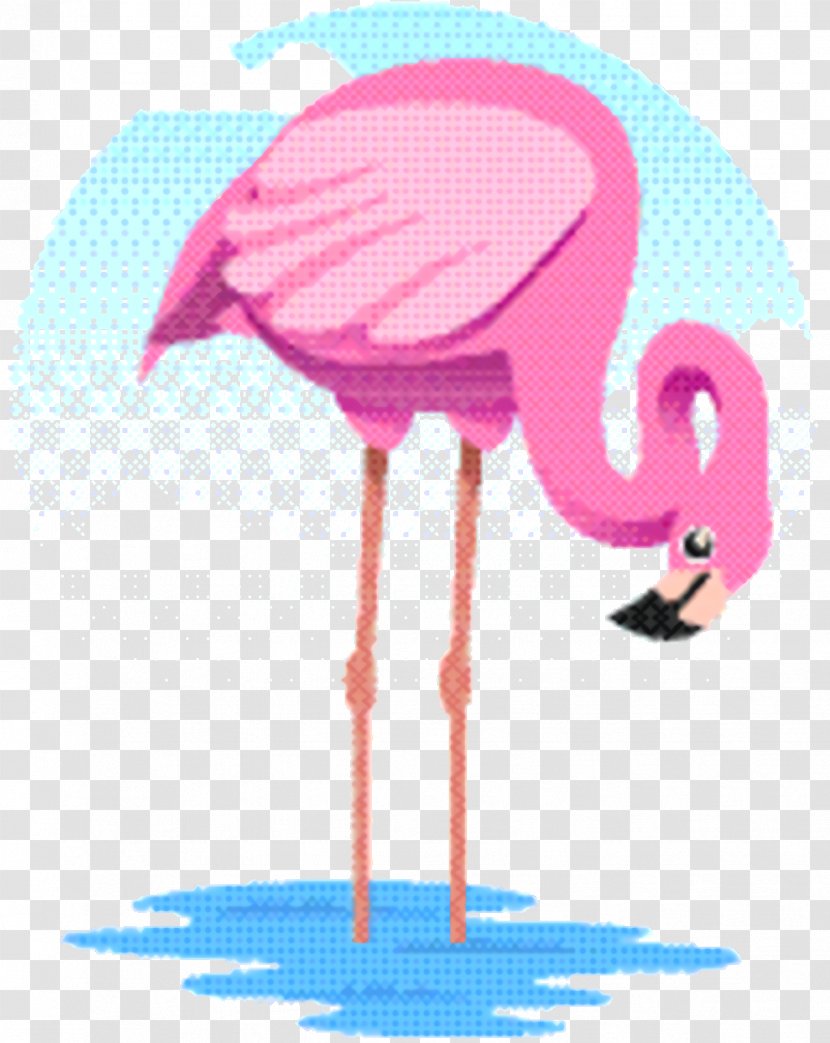 Pink Flamingo - Beak - Stork Water Bird Transparent PNG