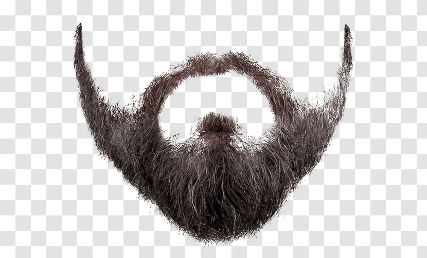 Beard Photography Clip Art - Snout - And Moustache Transparent PNG