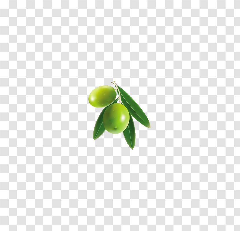 Fruit Olive Leaf Auglis - Green Olives Transparent PNG