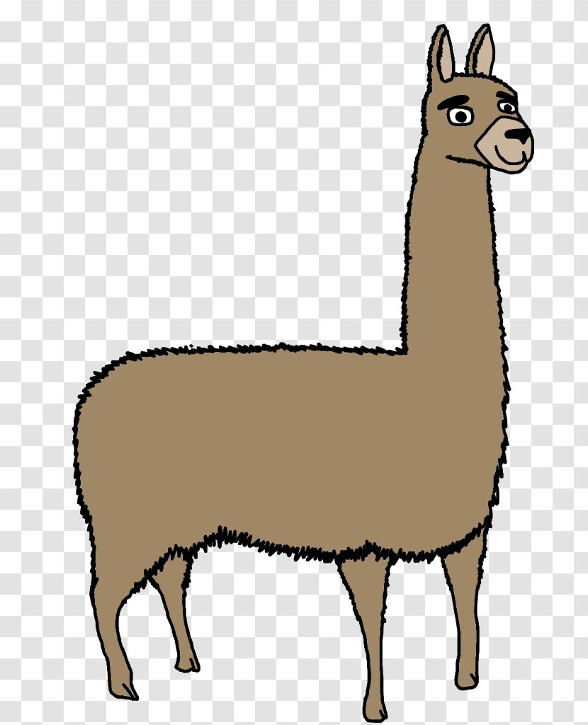 Llama Alpaca Vicuña Sheep Clip Art Transparent PNG