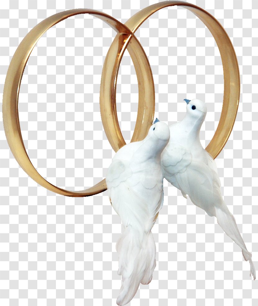Al Oyun Wedding - Body Jewelry - Swan Transparent PNG