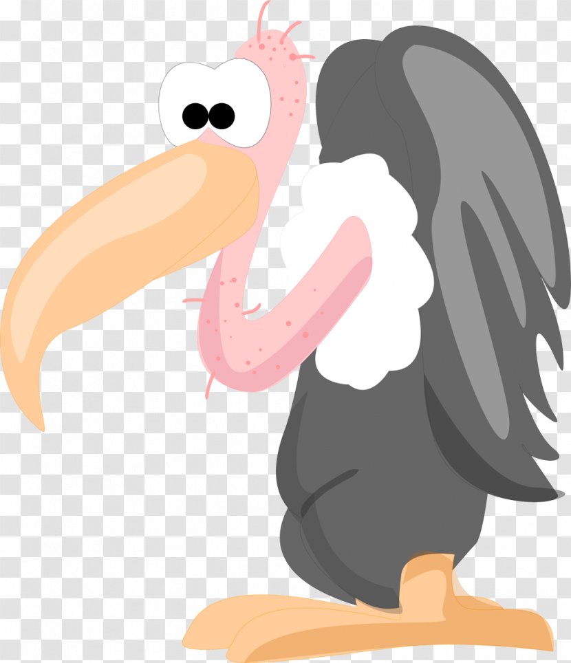 Bird Vulture Photography Animal - Art Transparent PNG