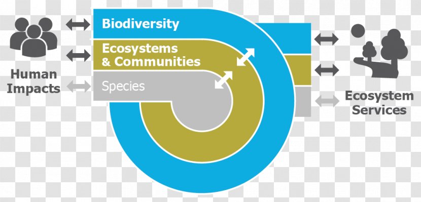 Leiden University Biodiversity Science Ecology Biology Transparent PNG