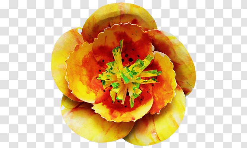 Orange S.A. Fruit - Sa - Petal Transparent PNG