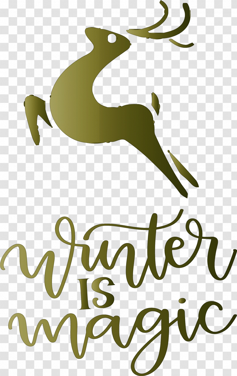 Winter Is Magic Hello Winter Winter Transparent PNG