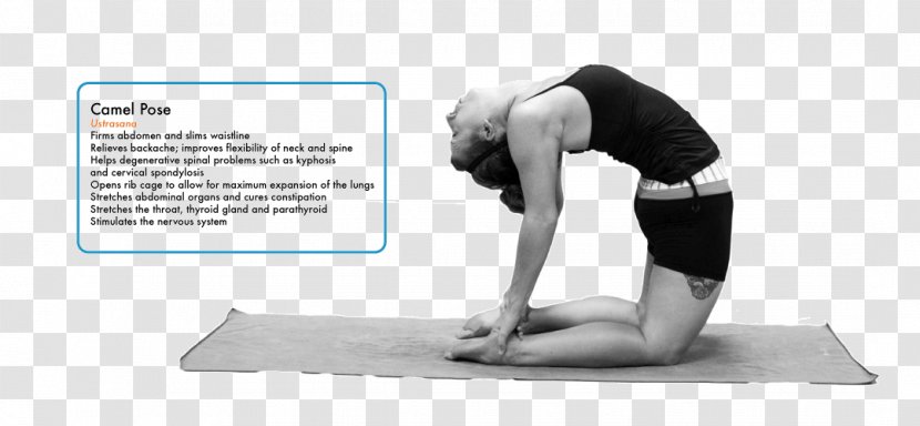 Yoga Hip Shoulder - Flower Transparent PNG