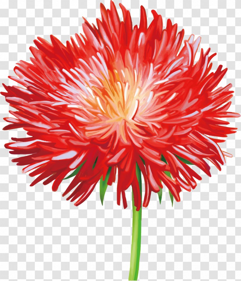 Flower Drawing Stock Photography Euclidean Vector - Shutterstock - Chrysanthemum Transparent PNG