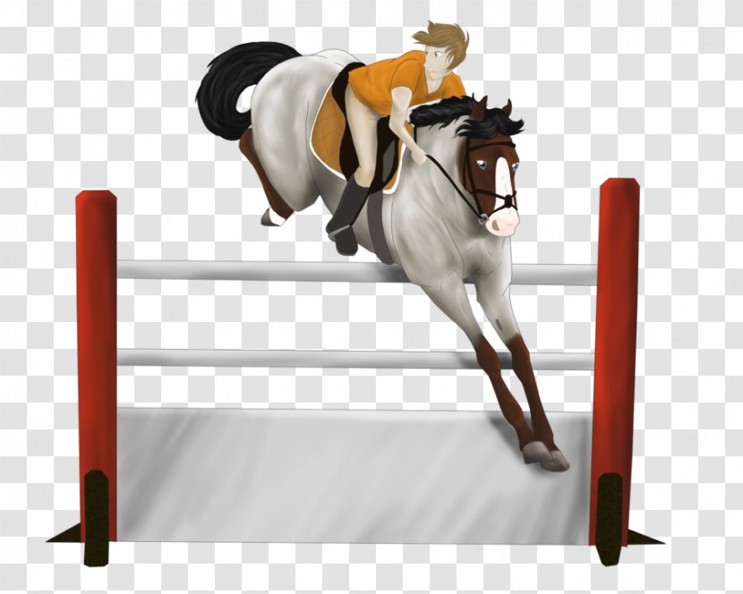 Show Jumping Hunt Seat Rein Stallion Equitation - Equestrian Sport - Equestrianism Transparent PNG