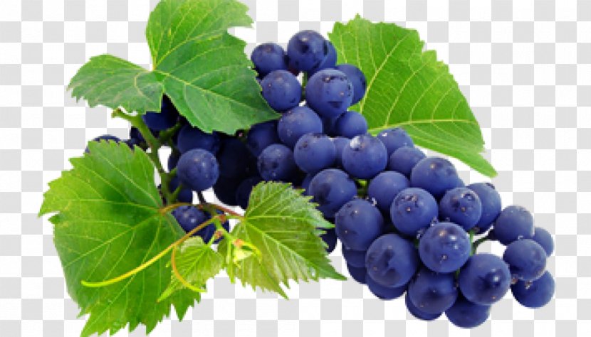 Wine Grape Juice Grapevines Nebbiolo - Superfood Transparent PNG