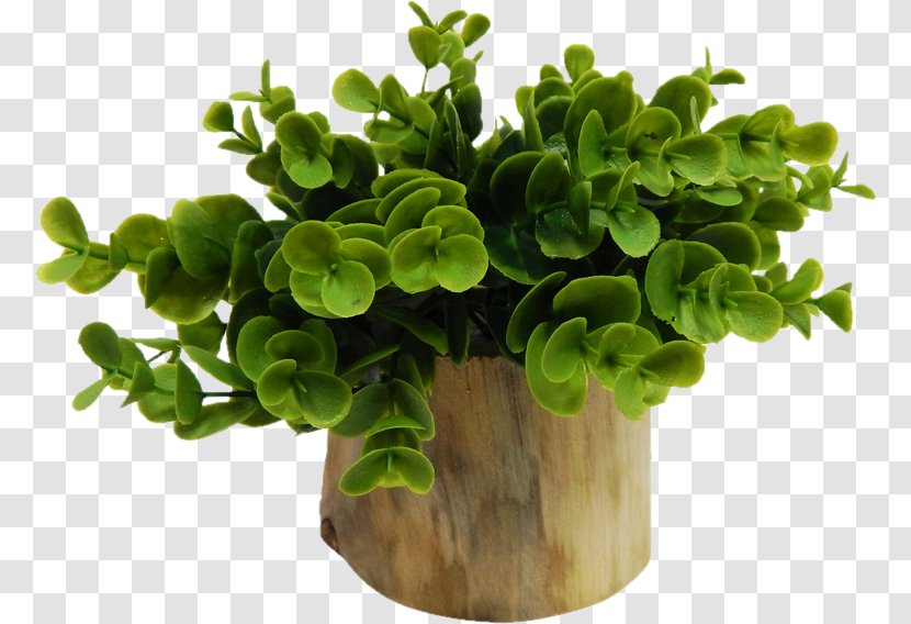 Flowerpot Houseplant Window Blinds & Shades - Dining Room - Plant Transparent PNG