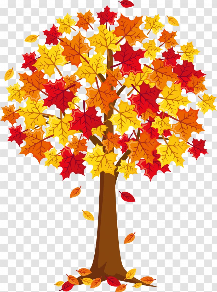 Maple Leaf Tree - Cardboard - Leaves Falling Transparent PNG