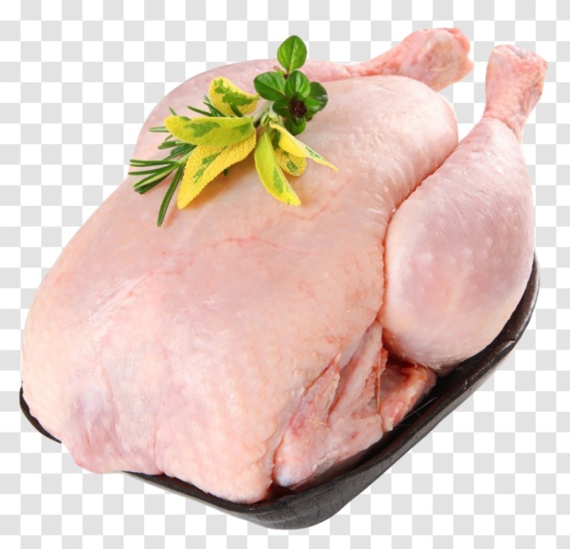 Chicken As Food Halal Poultry Free Range - Frame Transparent PNG
