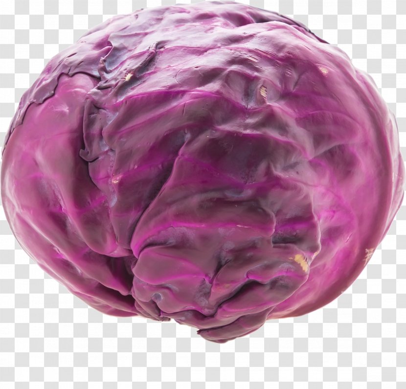 Cabbage Icon - Magenta - HD Transparent PNG