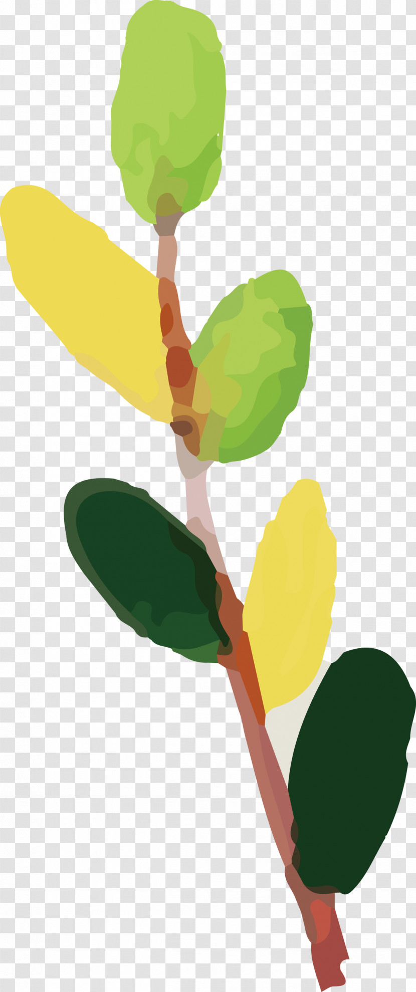 Plant Stem Leaf Plants Biology Science Transparent PNG