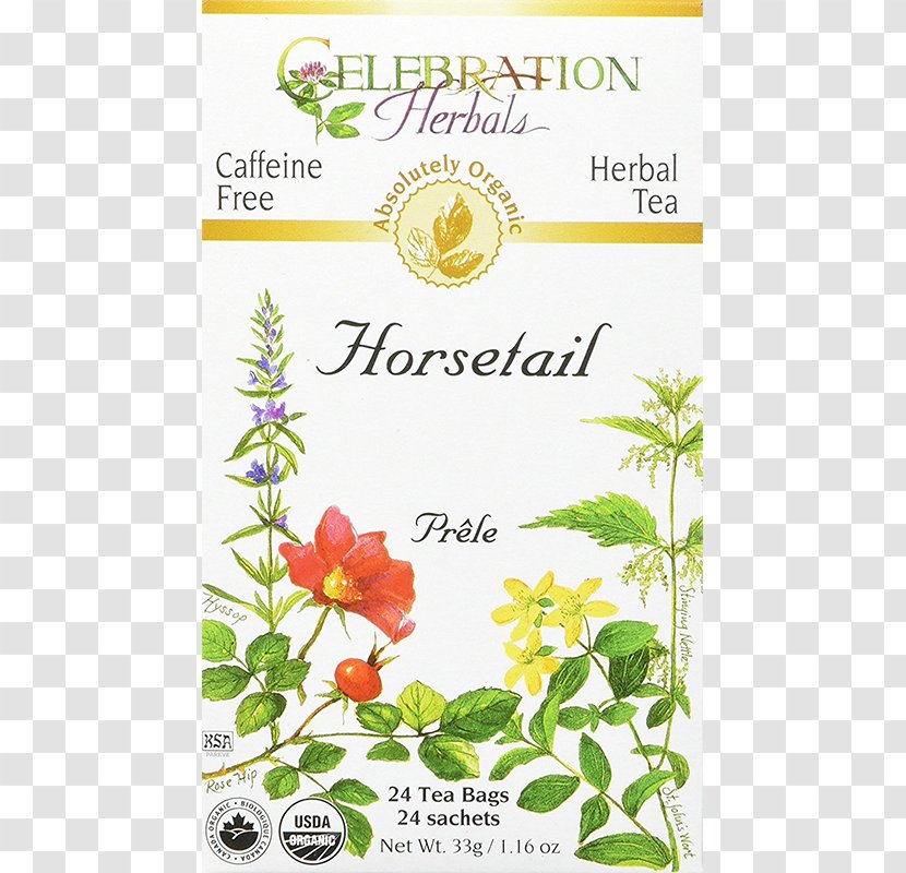 Tea Bag Organic Food White Herbal - Turmeric Transparent PNG