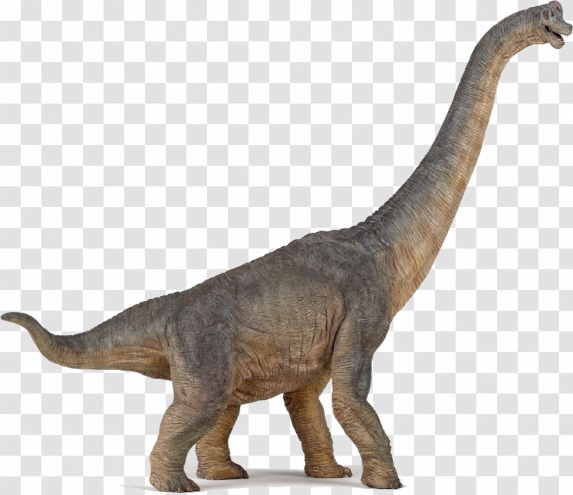 Brachiosaurus Velociraptor Stegosaurus Apatosaurus Morrison Formation - Triceratops - Dinosaur Transparent PNG