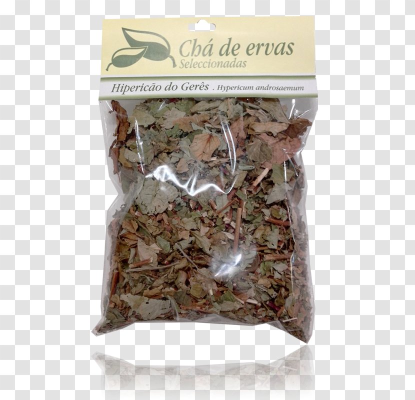 Hōjicha Spice Herb - Ingredient - Illicium Verum Transparent PNG