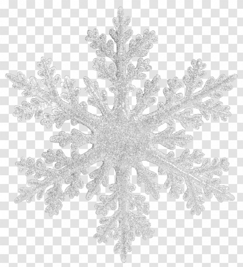 Snowflake Christmas - Monochrome Photography - Snowflakes Transparent PNG