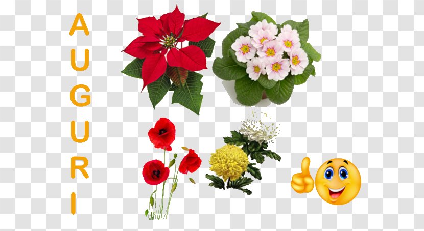Floral Design Cut Flowers Plants Flower Bouquet - La Vita E Bella Transparent PNG