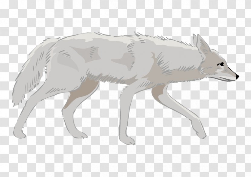 German Shepherd Coyote Wolfdog - Vector Dogs Transparent PNG