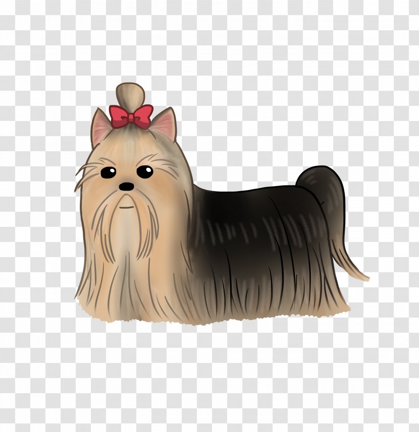 Yorkshire Terrier Cairn Australian Silky Companion Dog Breed - Mammal Transparent PNG