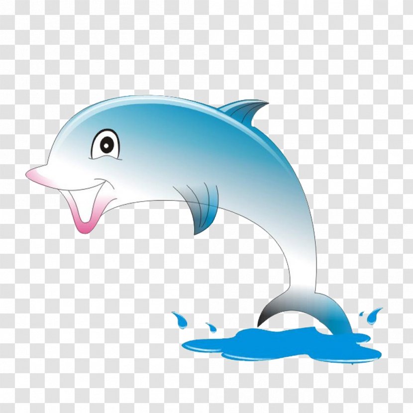 Cartoon Animation Dolphin - Organism - Cute Transparent PNG