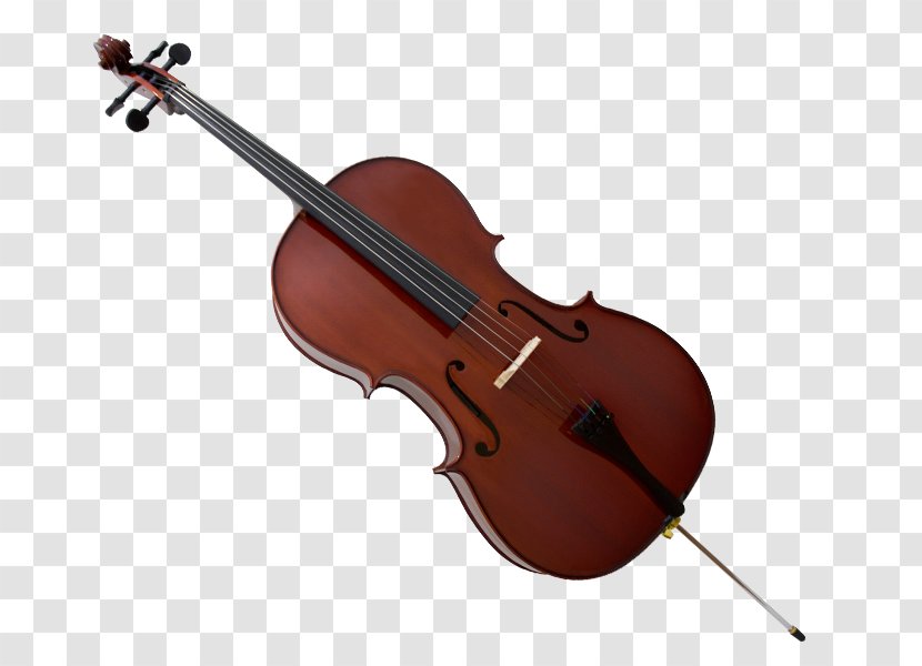 Bass Violin Viola Double Violone Cello - Flower Transparent PNG