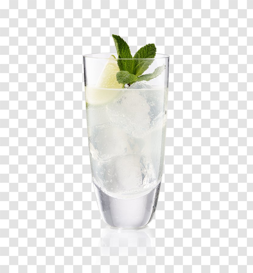 Rickey Vodka Tonic Gin And Cocktail Garnish Water - Drink - Mojito Transparent PNG