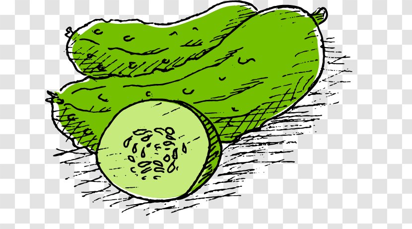 Cucumber Melon Pepino - Gratis - Small Hand-painted Cartoon Vegetable Transparent PNG