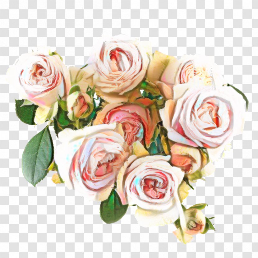 Garden Roses Cabbage Rose Cut Flowers Floral Design - Flower - Bouquet Transparent PNG