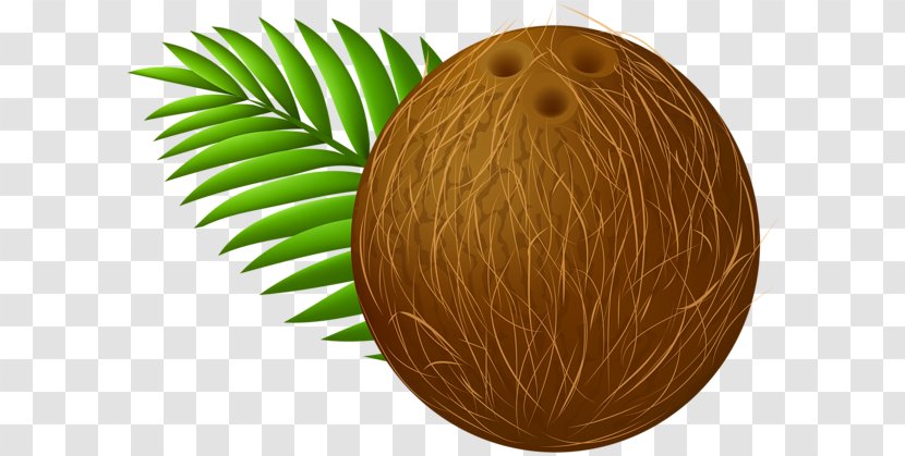 Coconut Milk Clip Art - Knee Pain - Cocunt Transparent PNG