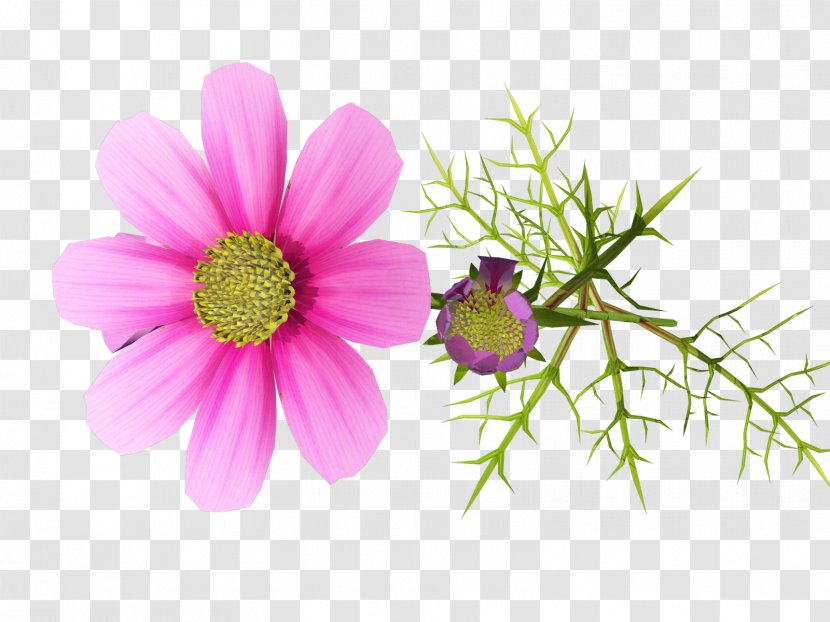 Flower Photography Clip Art - Plant Transparent PNG