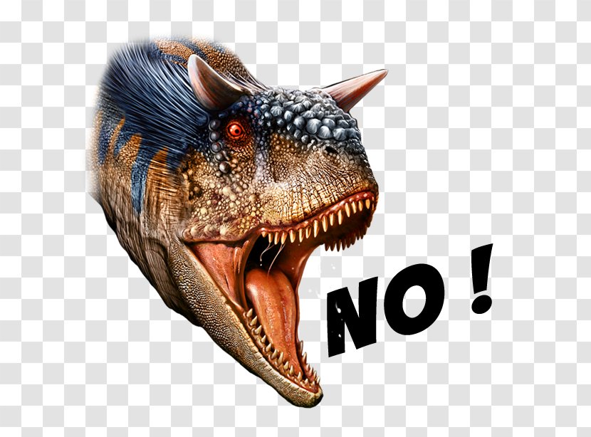 World Of Dinosaurs, The AppAdvice.com - Appadvicecom - Dinosaur Transparent PNG