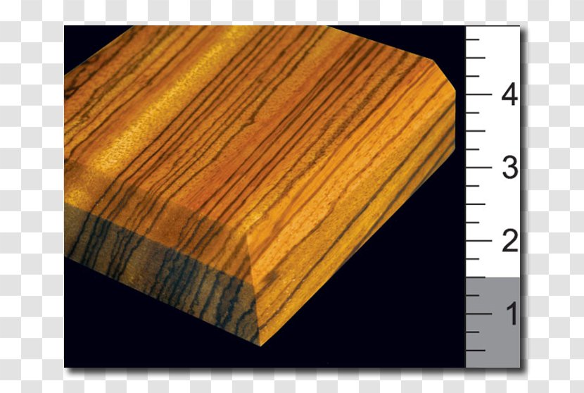Table Butcher Block Countertop Wood Varnish Transparent PNG