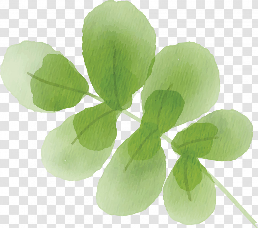 Green Leaf Plant Petal Flower Transparent PNG