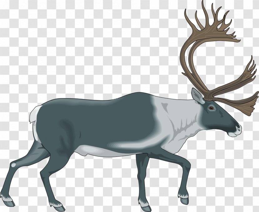 Reindeer Elk Royalty-free Clip Art - Terrestrial Animal - Deer Transparent PNG