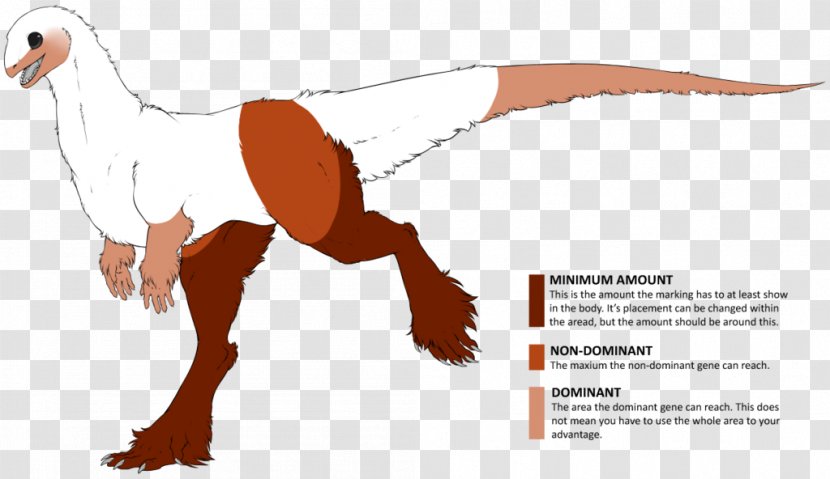 Okapi Dinosaur Drawing Rapetosaurus Beak - Deviantart Transparent PNG
