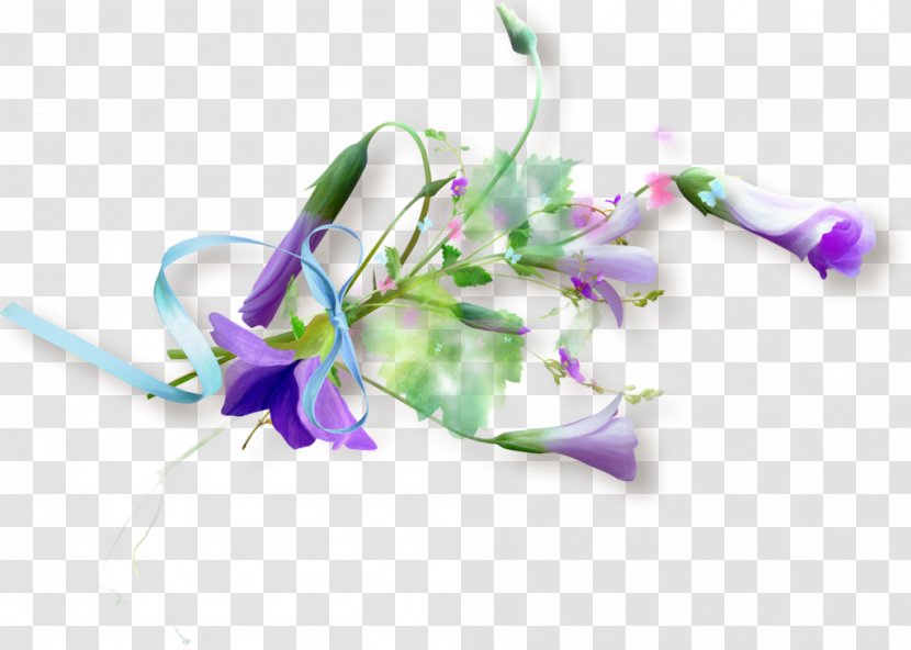 Flower Floral Design Petal - Plant - Persian New Year Transparent PNG