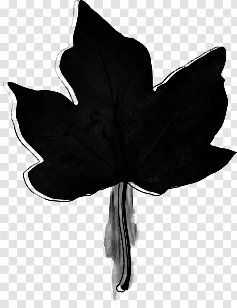 Photography Black And White Clip Art - Leaf - Watercolor Foliage Transparent PNG