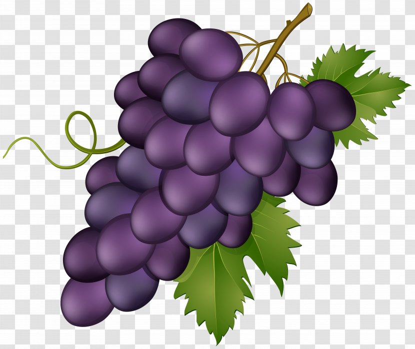 Grape Clip Art Image Wine Transparent PNG