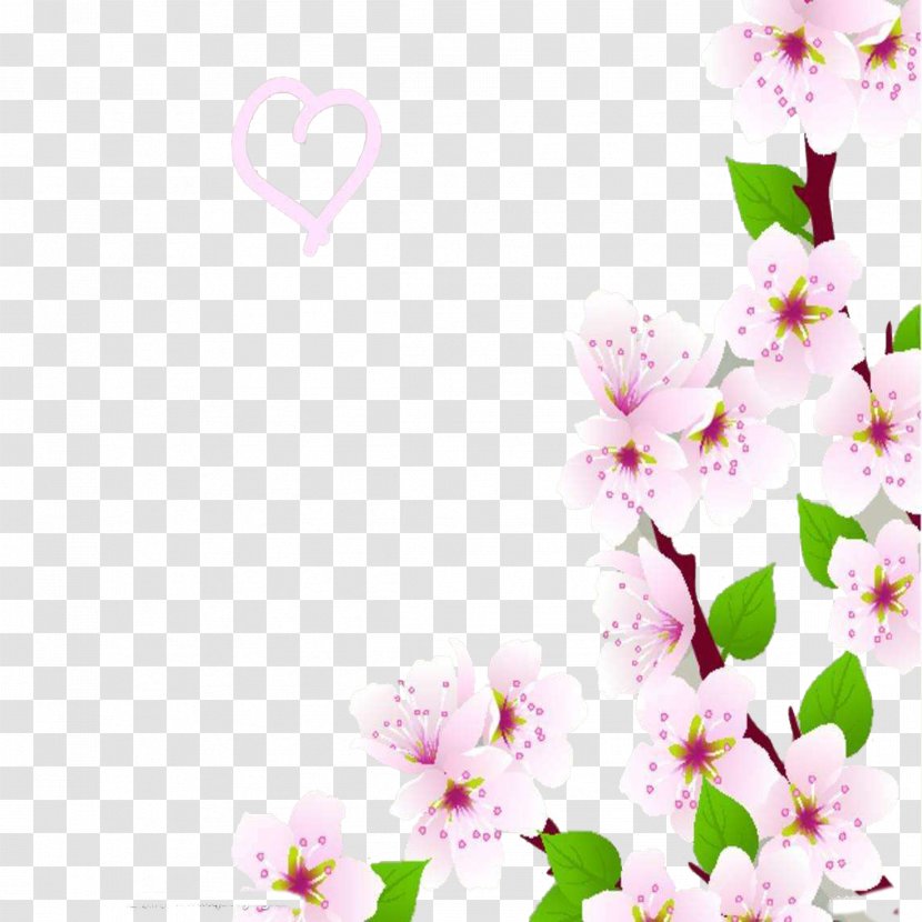 Cherry Blossom Cerasus - Floristry - Romantic Hand-painted Trees Buckle Free Material Transparent PNG