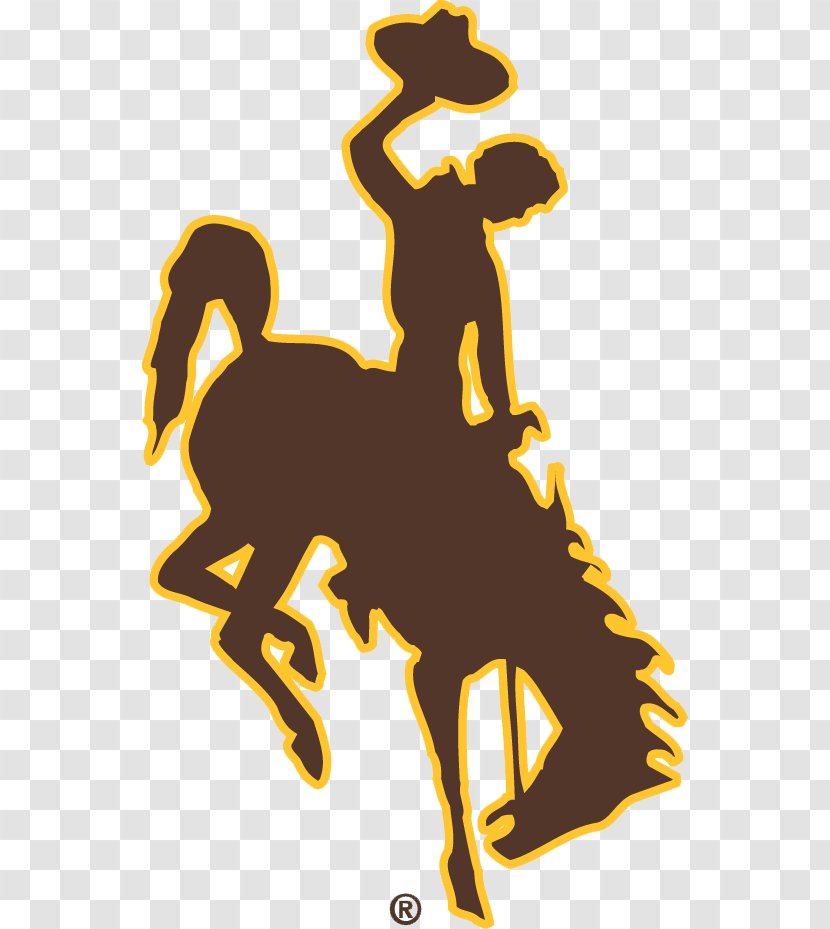 Wyoming Cowboys Football Cowgirls Women's Basketball Dallas University Of Wyoming: Store Division I (NCAA) - Horse Tack Transparent PNG