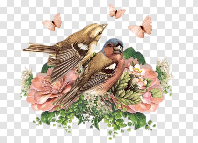 Bird Paper Flower House Sparrow Decoupage Transparent PNG