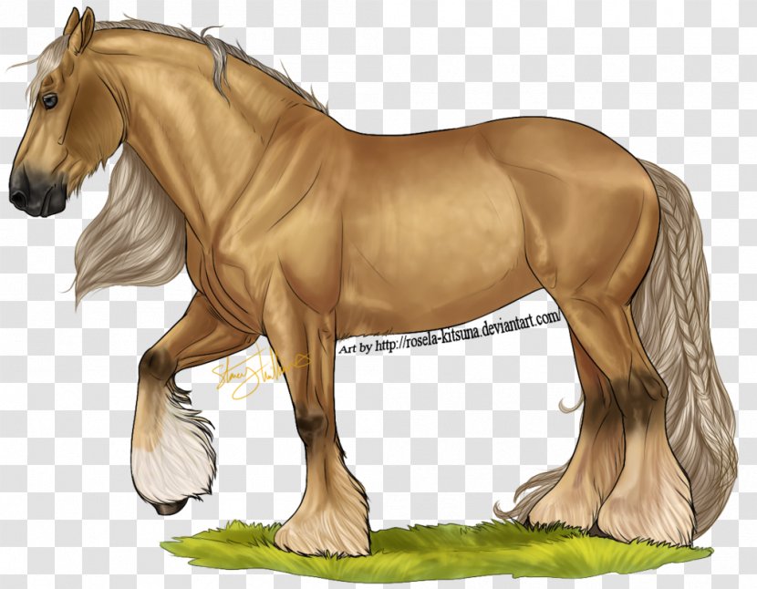Mustang Foal Stallion Mare Colt - Pony - Gypsy Horse Transparent PNG