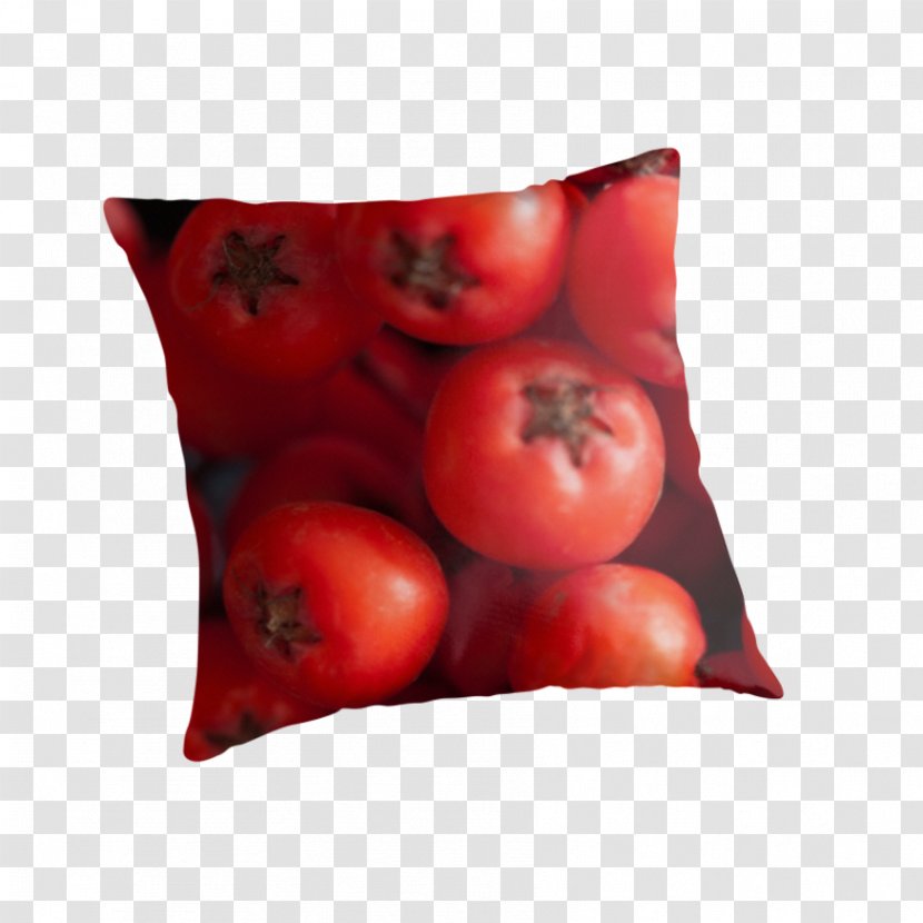 Tomato Cushion - Food - Mountain Ash Transparent PNG