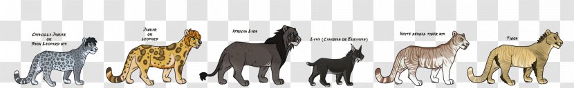 Homo Sapiens Dog Fur Mammal Font - Like - Pizza Cat Transparent PNG